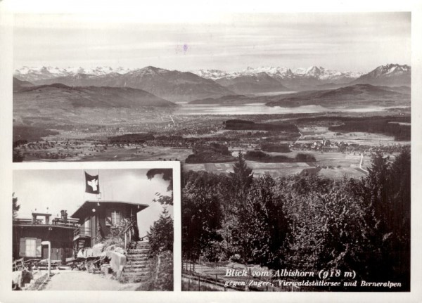 Blick vom Albishorn (918)