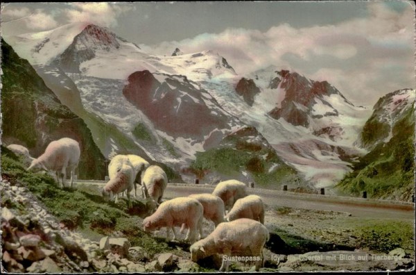 Sustenpass Vorderseite