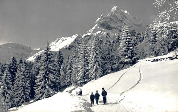 Braunwald mit Ortstock Vorderseite