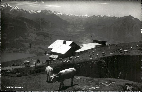 Niederhorn (1950 m) Beatenberg Vorderseite