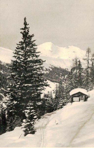 Davos - Waldweg Vorderseite