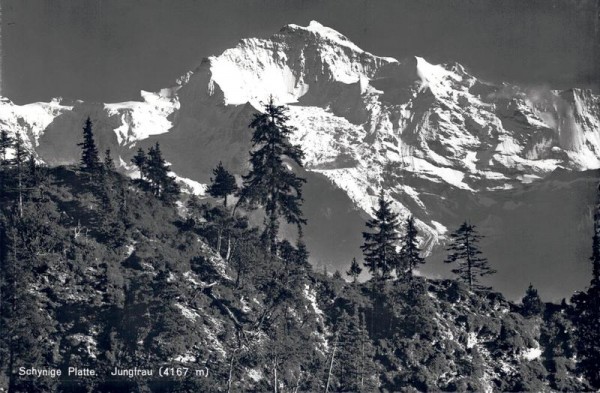 Schynige Platte mit Jungfrau Vorderseite