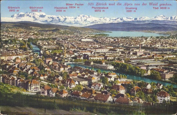 Zürich und die Alpen von der Waid gesehen.