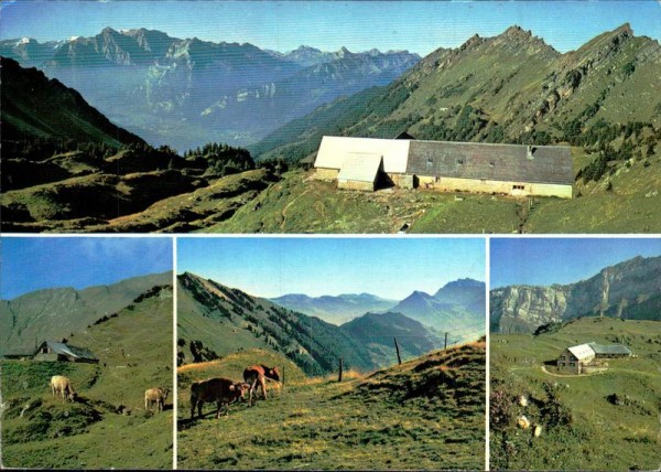 Alp Oberkäsern ob Amden  Vorderseite