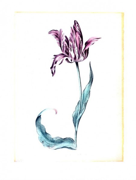 Judith Leyster, Blume Vorderseite