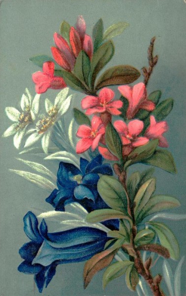 Herzlichen Glückwunsch zum neuen Jahr! Vorderseite