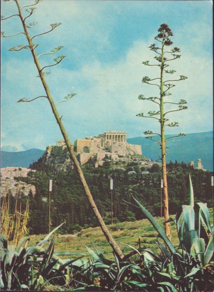 Athen: Sicht auf die Acropolis
