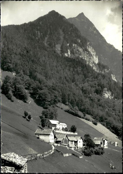 Guscha Vorderseite