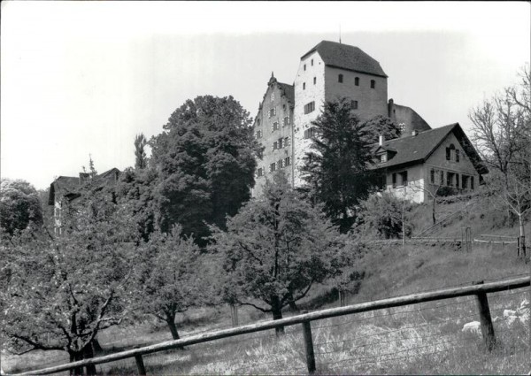 Schloss Wildegg Vorderseite
