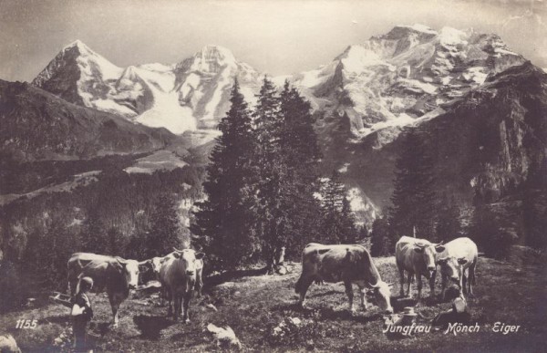 Jungfrau - Mönch - Eiger