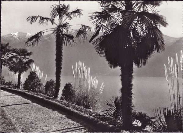 Brissago (Lago Maggiore) Brenscino S.E.V. Gartenanlage
