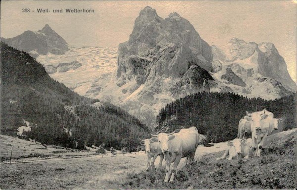 Well - und Wetterhorn Vorderseite