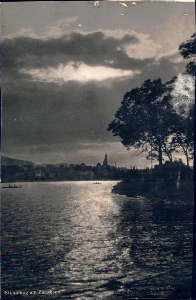 Stimmung am Zürichsee Vorderseite