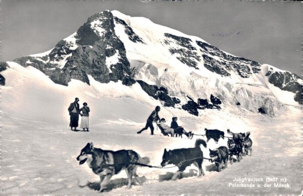 Jungfraujoch Polarhunde u. der Mönch Vorderseite