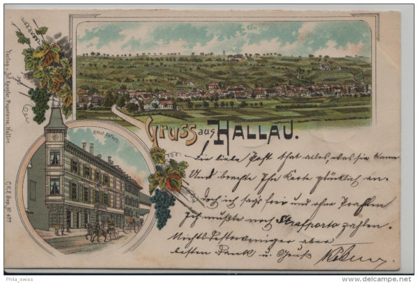 Hallau, Gruss aus - farbige Litho - Panoramaansicht, Hotel Falken