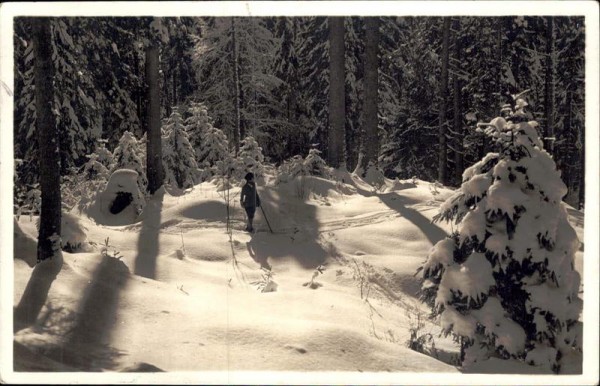 Winter in der Schweiz Vorderseite