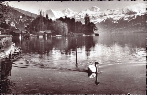 Hilterfingen am Thunersee Eiger Mönch und Jungfrau