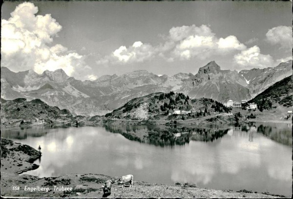 Engelberg - Trübsee Vorderseite