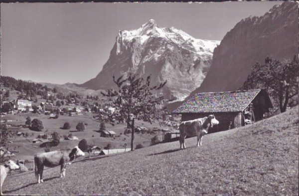 Grindeldwald mit Wetterhorn