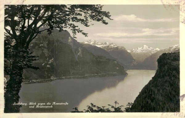 Seelisberg, Blick gegen die Axenstrasse und Bristenstock Vorderseite