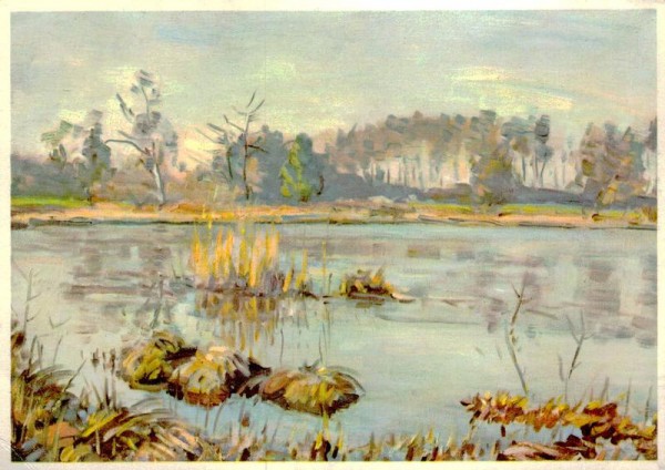 R. Wettstein, Illnau: Torftümpel - Marécage - Palude Vorderseite