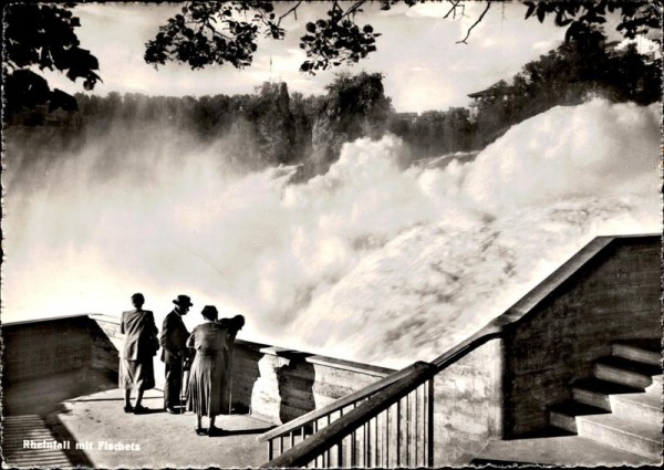 Rheinfall mit Fischetz Vorderseite