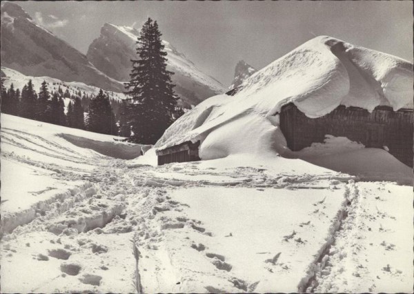 Obertoggenburg Vorderseite