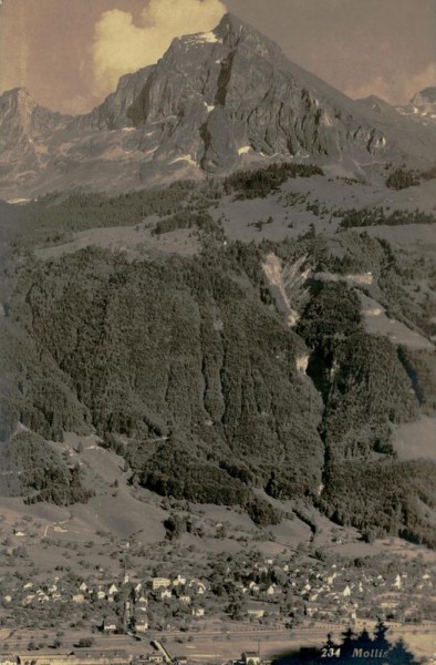 Mollis Vorderseite