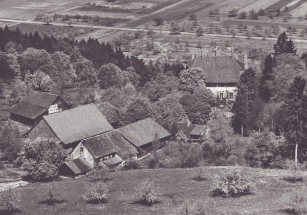 Schloss Wellenberg bei Frauenfeld TG  -  Flugaufnahmen Vorderseite