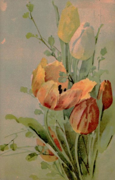 Tulpen Vorderseite