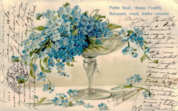 Petite fleur Vorderseite