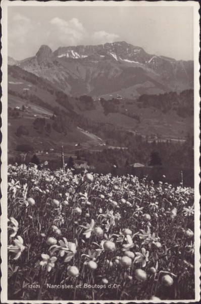 Les Avants