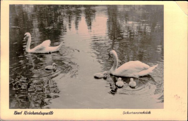 Bad Reinhardsquelle, Schwanenteich Vorderseite