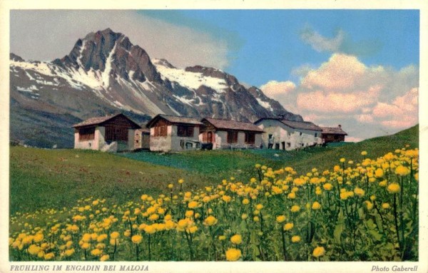 Frühling im Engadin bei Maloja Vorderseite