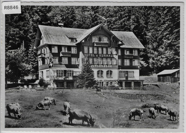 Hotel & Kurhaus Buchserberg - Kühe vaches cows