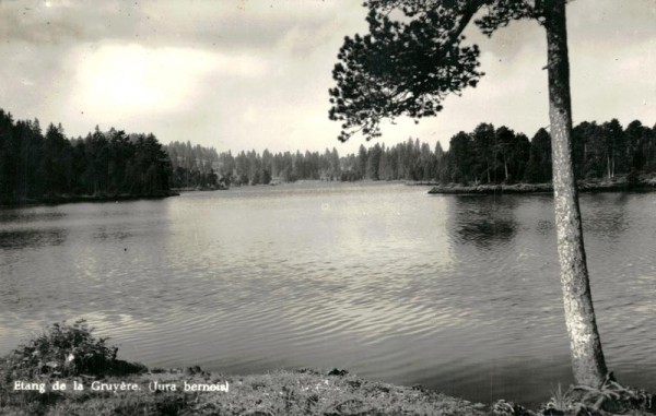 Etang de la Gruyère Vorderseite