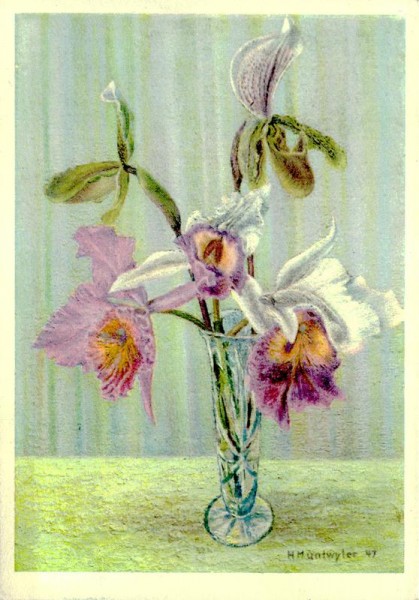 Orchideen, H.Muntwyler Vorderseite