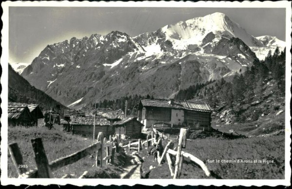 Arolla Vorderseite