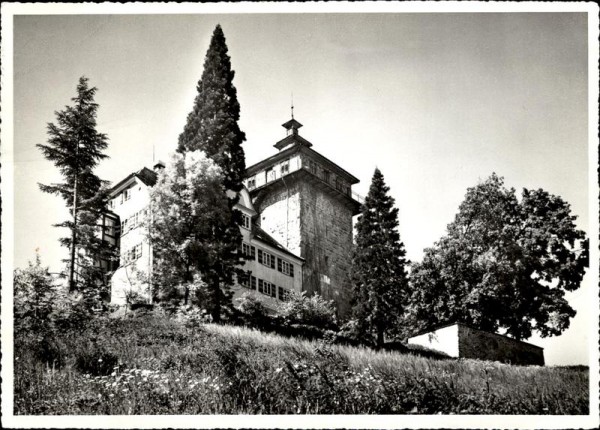 Schloss Sulzberg Vorderseite