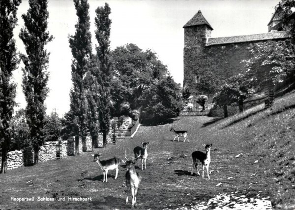 Hirschpark und Schloss Rapperswil Vorderseite