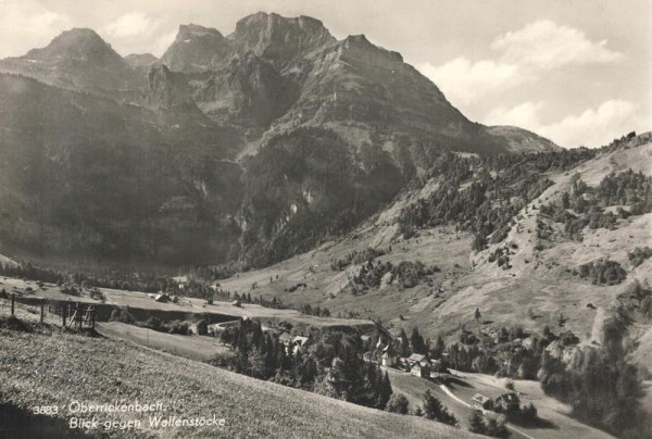 Oberrickenbach. Blick gegen Wellenstöcke Vorderseite