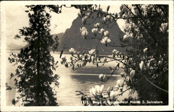 Luganersee Vorderseite