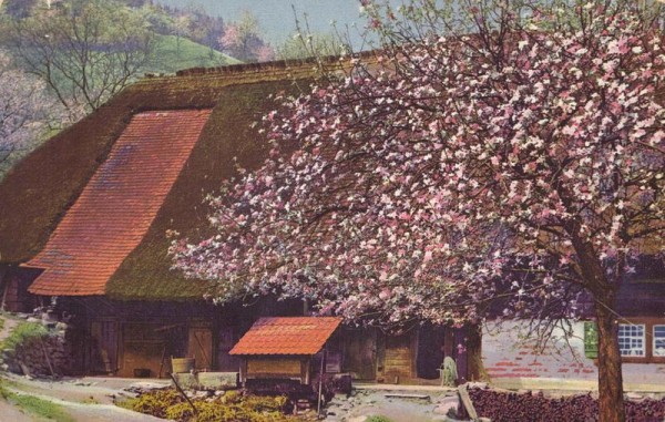 Schwarzwald - Kirnbachtal Vorderseite