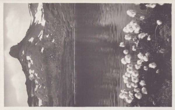 Madseeli mit Spitzmeilen Vorderseite