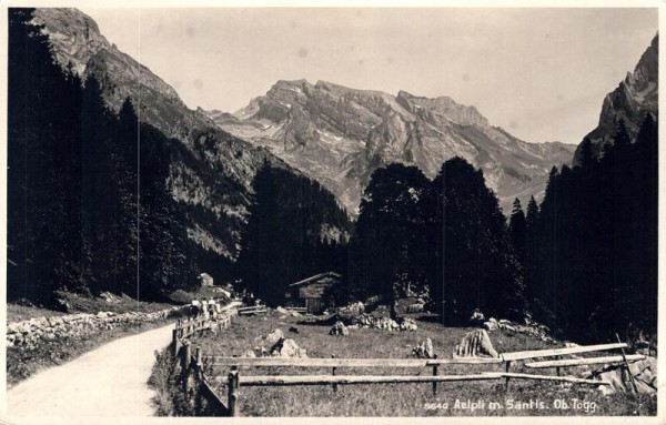 Aelpli mit Säntis, Obertoggenburg Vorderseite