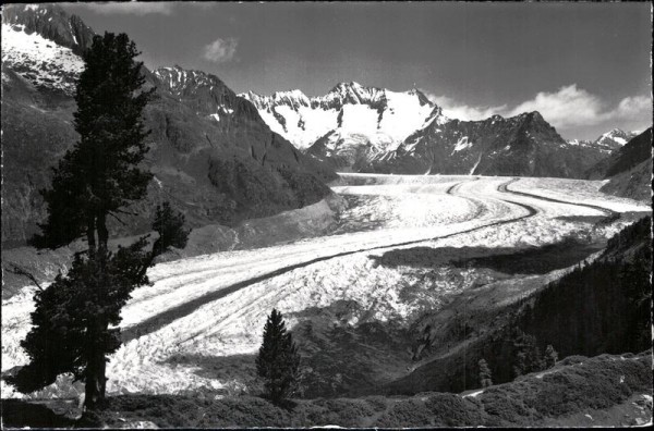 Aletschgletscher Vorderseite