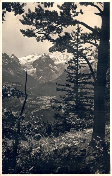 Wetterhorngruppe Vorderseite