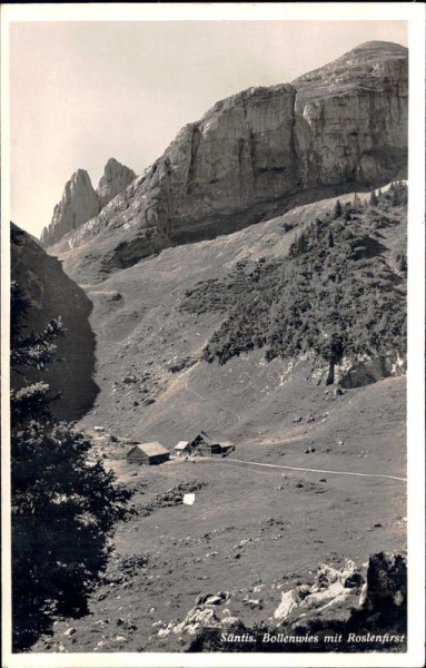 Bollenwies, Säntis, Roslenfirst Vorderseite
