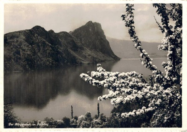 Der Bürgenstock im Frühling. 1947 Vorderseite