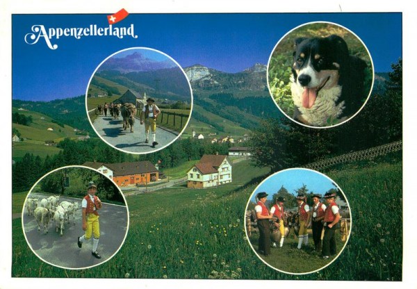 Appenzellerland Vorderseite
